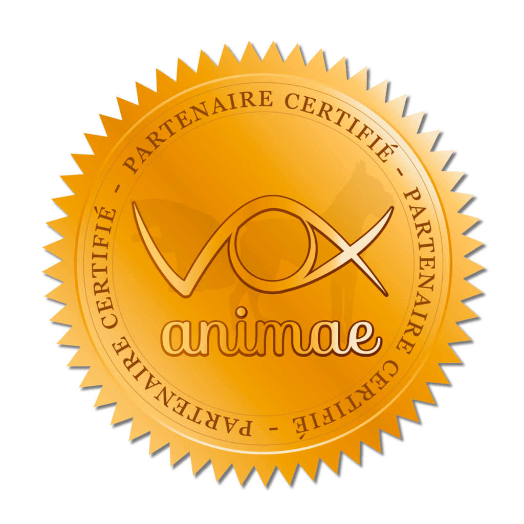 Logo Réseau Vox Animae